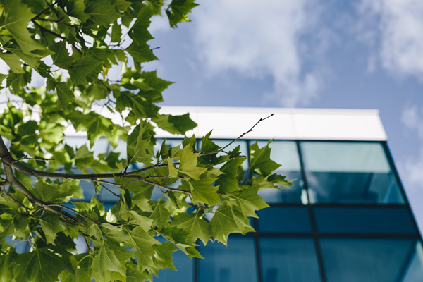 歡迎訪(fǎng)問(wèn)我們的官方網(wǎng)站